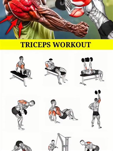 Effective Top Triceps Workout for Maximum Muscle Gains