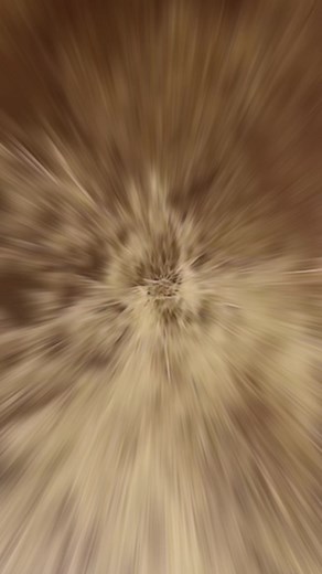 6.7K views · 45 reactions | Only food is Real | Violet Eyes Lifestyle | Facebook