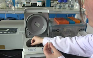 3.提取plasmid extraction