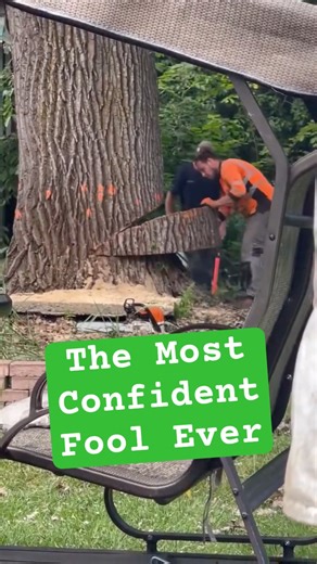 Learning Tree Cutting from Video Ended in a Shocking Disaster