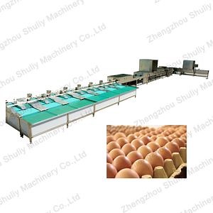 [Hot Item] Hot Selling Chicken Eggs Brush Washing Drying Sterilization and Grading Production Line