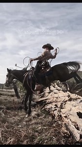 Discover Western Riding Techniques and Tips