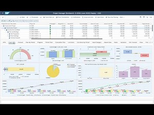 v6. Project Manager Workbench: Project Planning, Project Forecasting in SAP by Noveco in SAP GUI