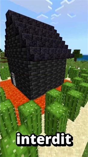 J'enfreins toutes les lois jusqu'au ban #shorts #viralshorts