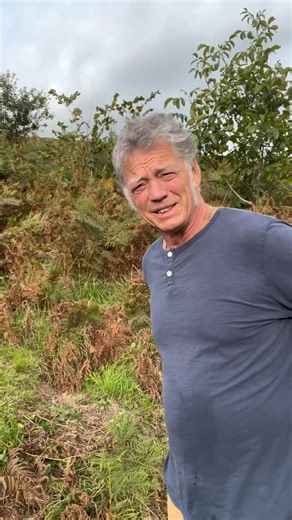 81K views · 1.9K reactions | Does rewilding have a place in farming? The two are often pitched against each other. But maybe there's a way to produce food, while bringing in nature to do what she does best. Guy recently visited The Knepp Estate - and here he shares some of his thoughts and reflections on how nature and farming can work together. | Riverford | Facebook