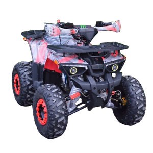 [Hot Item] ATV 125cc Quad Bike Racing ATV with CE Certificate
