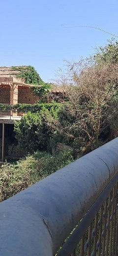 abyssiniaadventure on TikTok