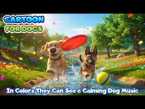 Dog Cartoon 🐕❤️ 24 Hours Gentle Play for Dogs Home Alone | in Colors Dogs Can See 🐶 Dog TV
