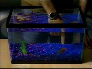 Commercial - AllState Free Quote (Aquarium) (2002)