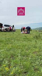 16K views · 112 reactions | #Ozark_Trail брендийн #Америк майхан нь...