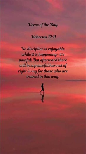 Verse of the Day Hebrew 12:11