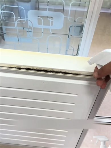 Effective Mold Removing Spray for Home Walls