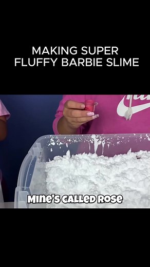 Life with Brothers on TikTok