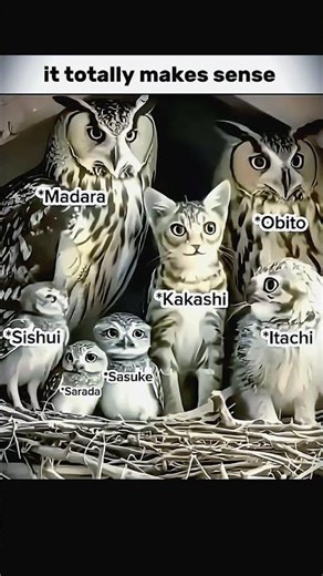 The video is a popular Naruto-themed meme, specifically about the Uchiha Clan.