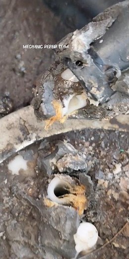 Fuel Lines Are Leaking (And How To Fix Them)🙂🙃 #shorts