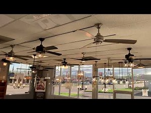 Ceiling Fans on Display at Butler Supply