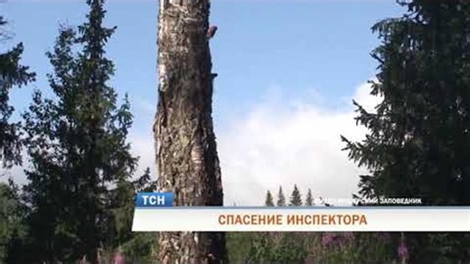 Спасение инспектора