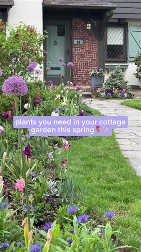 A little planning = a garden that thrives! Here’s a few things to consider during your winter planning- 🌸choose a color palette you love 🌸know your bloom times 🌸add annuals for nonstop color 🌸check your lighting throughout the day And if you’re still unsure where to begin, don’t worry, you’re in the right place! Check out our Substack for more cottage garden design ideas & how-tos OR visit our link in bio to learn all about our courses on how to take your dream & make it a reality.🌸🌱✨