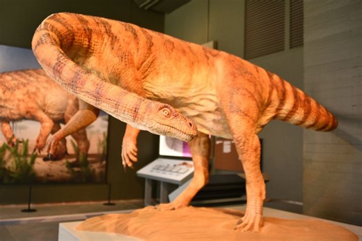 Entry fee for Kgodumodumo Dinosaur Interpretive Centre confirmed
