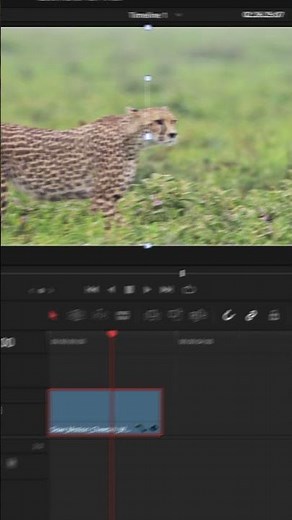 How To Smooth Out Your Animations In Davinci Resolve #davinciresolve