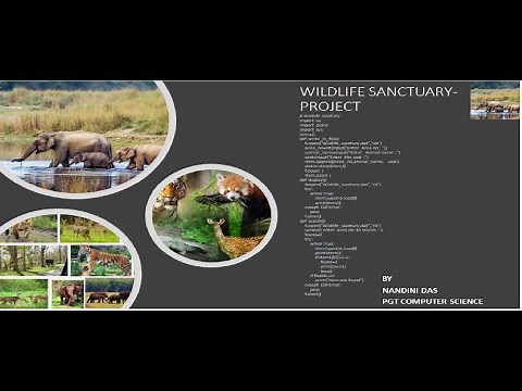 CSV BINARY || WILDLIFE SANCTUARY PROJECT | CLASS 12 COMPUTER SCIENCE | ART INTEGRATED PROJECT FILE