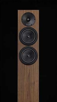 The Sirocco mid-woofer is a gem! #highend #speaker #audiophile #speakers
