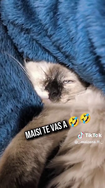 Divertida broma de Maxi y Maisi en CapCut