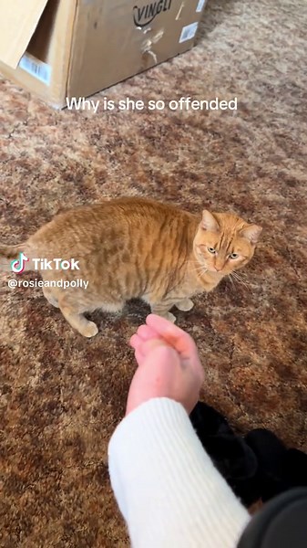 Rosie's Hilarious Reaction to Bath & Body Works Soap