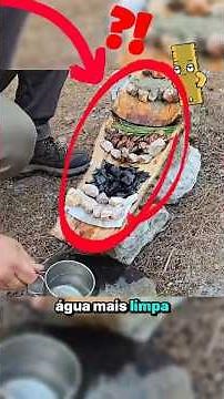 6 Truques de Sobrevivência na Natureza Que Você Precisa Conhecer!