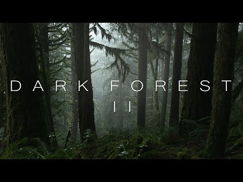 Dark Forest II | 4K Nature Video | Dark Cinematic Forest | 4K Ultra HD