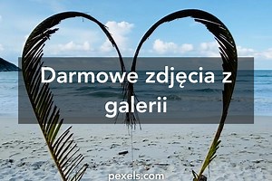 Najlepsze nagrania wideo: Darmowe Filmy