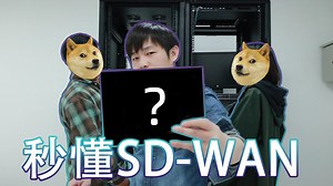 红遍全网的SD-WAN到底是什么？