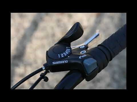 Review of the Gravity Nugget 24 Kids Bicycle from Bikesdirect.com