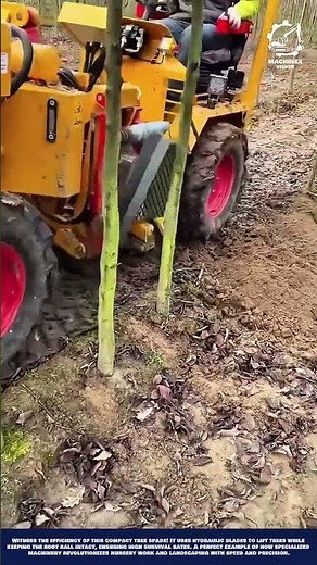 Tree Spade Machine Work for Efficient Tree Transplanting