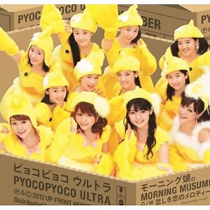 Morning Musume - A Sad Love's Melody (悲しき恋のメロディー) Lyrics » Color Coded Lyrics | Lyrics at CCL