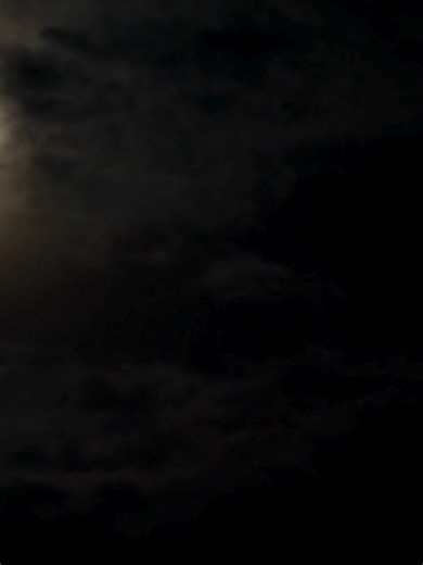 COVER REVEAL Book: The Bone Dagger Author: Clara Rhodes Release Date: July 21st Genre/Tropes: PNR / Demons / Fated Mates / Morally Grey MMC / Age Gap CHECK OUT THIS STUNNING COVER!! We are honored to reveal the cover for THE BONE DAGGER by Clara Rhodes, coming July 21st! Make sure to preorder this all-new epic, slow burn, dark romantasy today! Preorder TODAY! https://www.clararhodesauthor.com/preorder BLURB In this spellbinding debut fantasy, passion and peril entwine in a tale of curses, monste