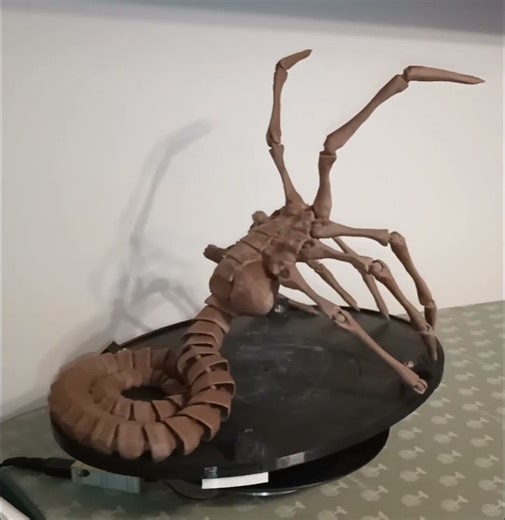 Stampa 3D amatoriale: Facehugger articolato dal film ALIEN
