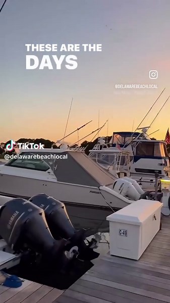 DelawareBeachLocal on TikTok