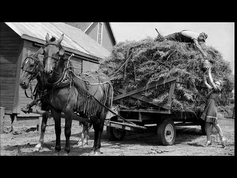 The Role of Women on the Farm in the Early 20th Century