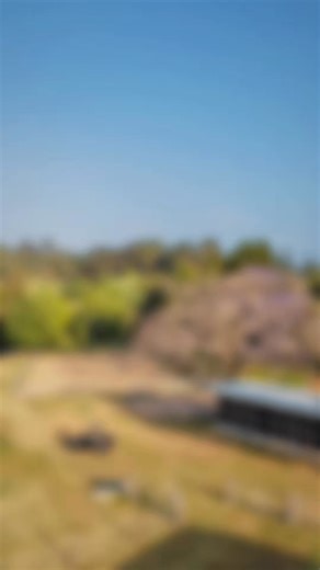 🌿 Rosedale Homestead | Established 1908 🌿 Your perfect escape to the country, just 30km from Noosa. Set across 70 acres (28.04ha) over two lots, this character filled homestead offers the best of rural living with coastal convenience. ✨ Highlights include: • Flowing creek with permanent waterholes • Established horse infrastructure: sand arena, round yard, stable, tack room & wash bay • Huge 26m x 12m enclosed machinery shed with water tank • 3 bedrooms, 2 bathrooms, 3 WCs, study • Outdoor sho