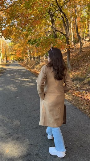 My fall dopamine menu! What’s on yours? 🍂🍁#therapistsofinstagram #dopaminemenu | AK Psychotherapy