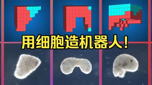 科学家用细胞造机器人？竟然长成四不像，还有“大脑”！