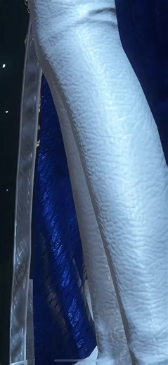 Honest Review of Sword of Justice Outfit