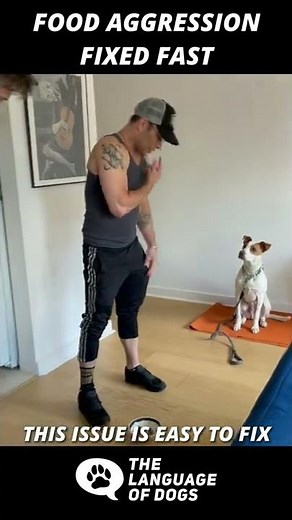 FOOD AGGRESSION FIXED FAST