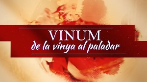 Vinum: Una ventana al futuro vinícola de Cataluña