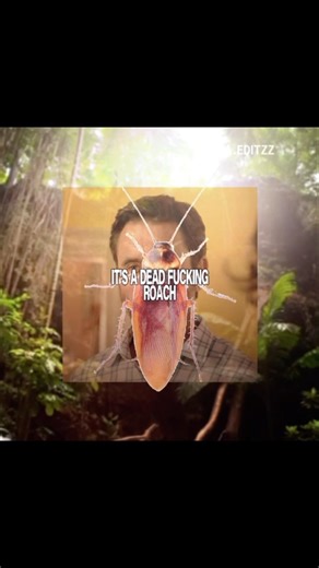 The OG’s 🙃 #fypp #obx #outerbankedit #virledit #pouges #pfl