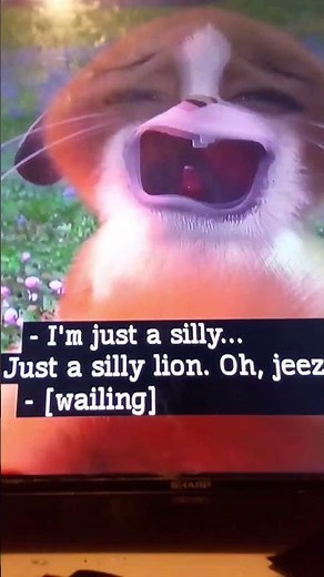 Madagascar Mort Funny And ➕ Crying