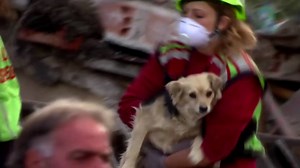 97K views · 3.2K reactions | At least 73 people were killed following...