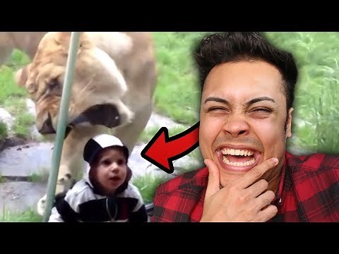 REACTING TO KIDS GETTING ATTACKED AT THE ZOO (WHY IS THIS FUNNY)