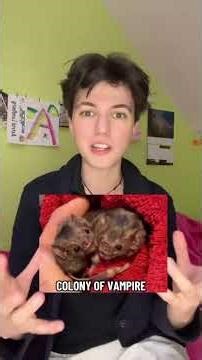 are vampire bats better than humans? #evolution #science